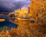 Boulder Mountain Autumn