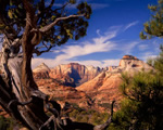 East Zion Skyline