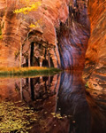 Escalante Grotto