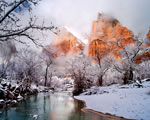 Zion Winter