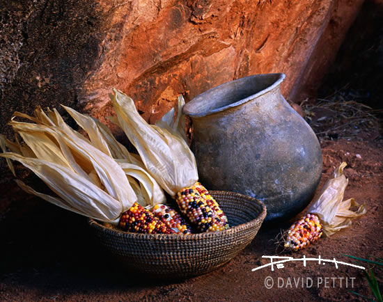 Anasazi Gift