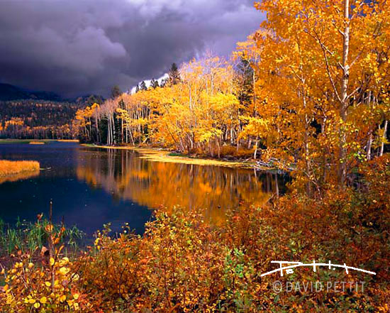 Boulder Mountain Autumn