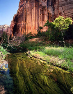 Calf Creek