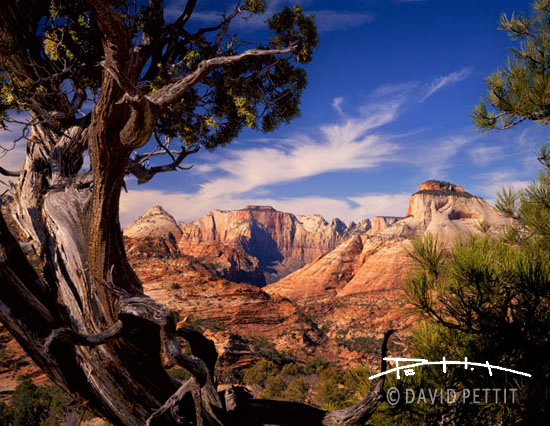 East Zion Skyline