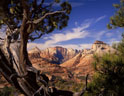 East Zion Skyline