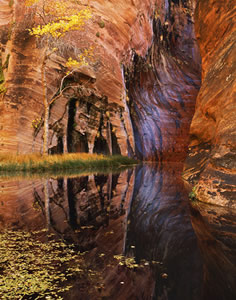 Escalante Grotto