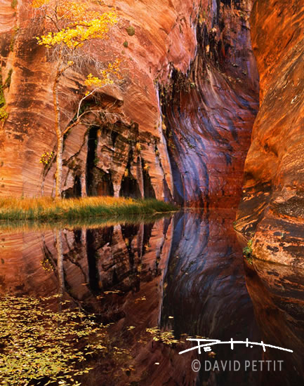 Escalante Grotto