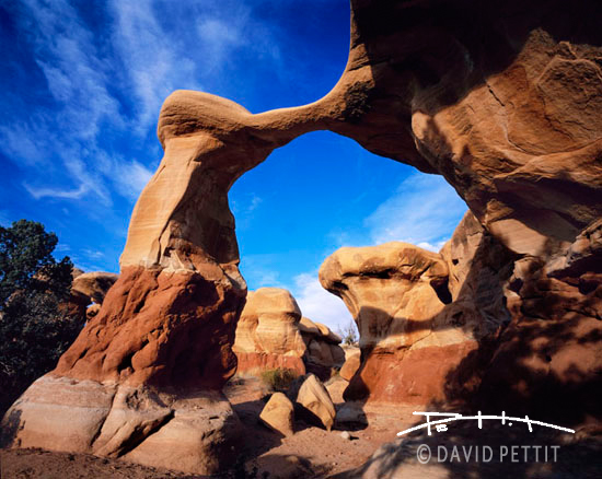 Metate Arch