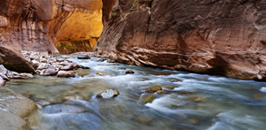 Narrows Reflection