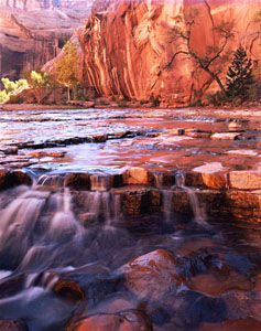 Navajo Canyon