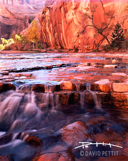 Navajo Canyon
