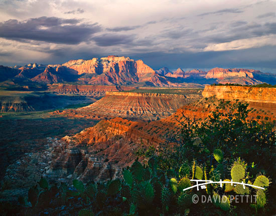 View From Gooseberry Mesa