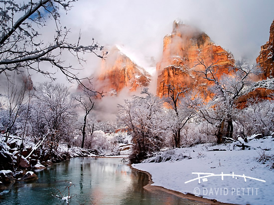 Zion Winter